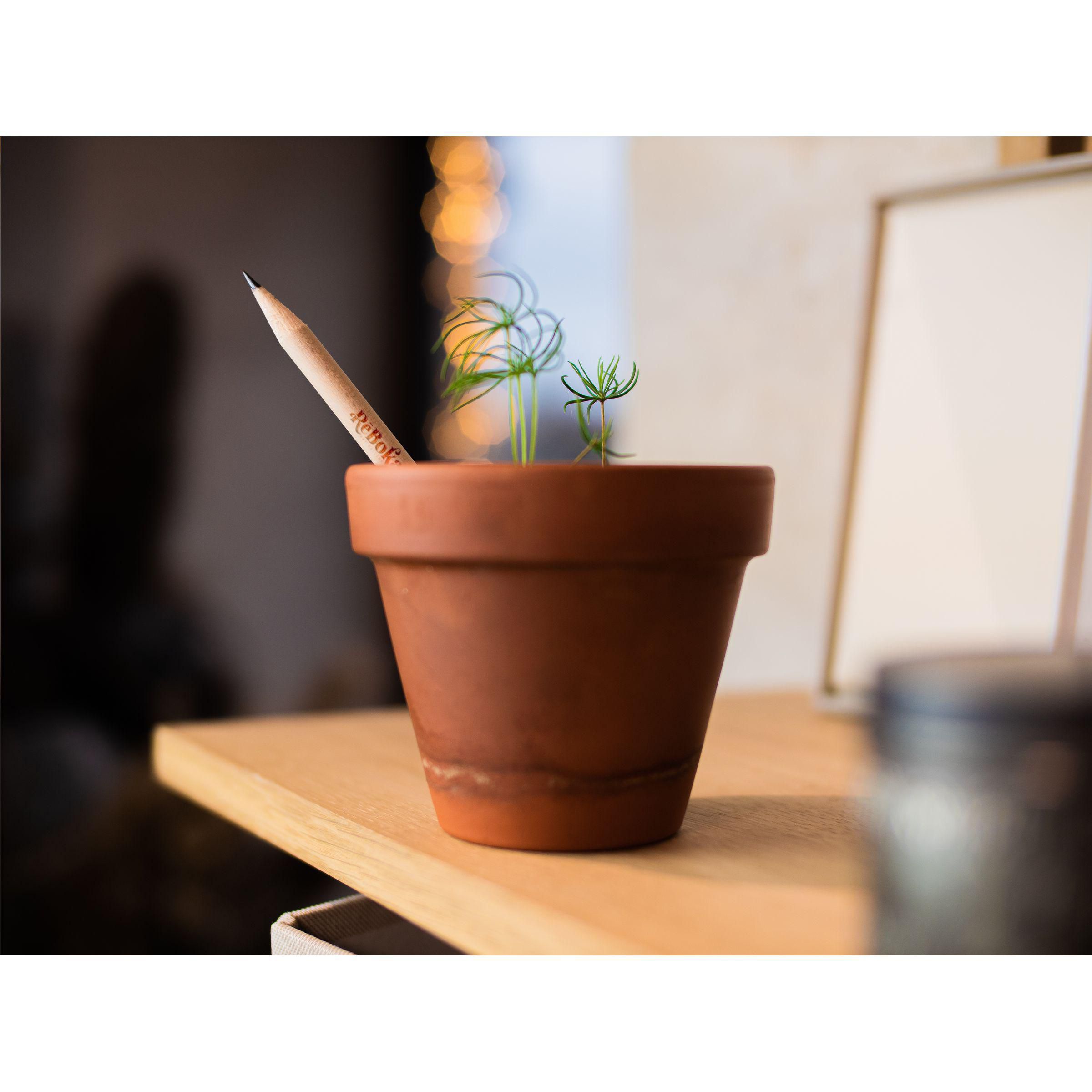 Sproutworld Sharpened Pencil crayon taillé